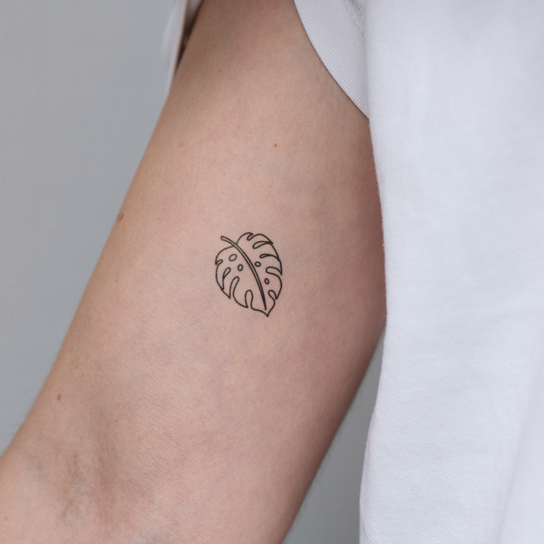 Kleine Monstera Tattoo